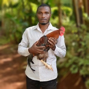 Alex Maina Chicken Photo