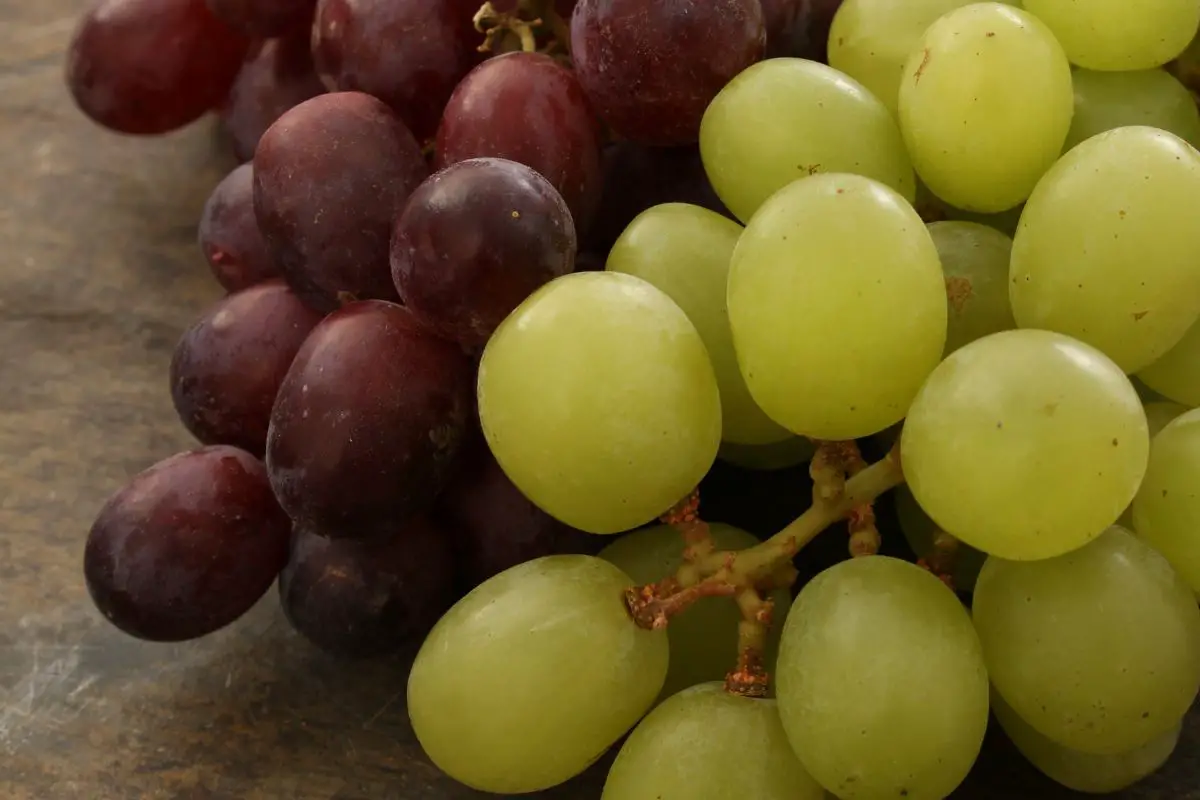 Can Chickens Eat Grapes?