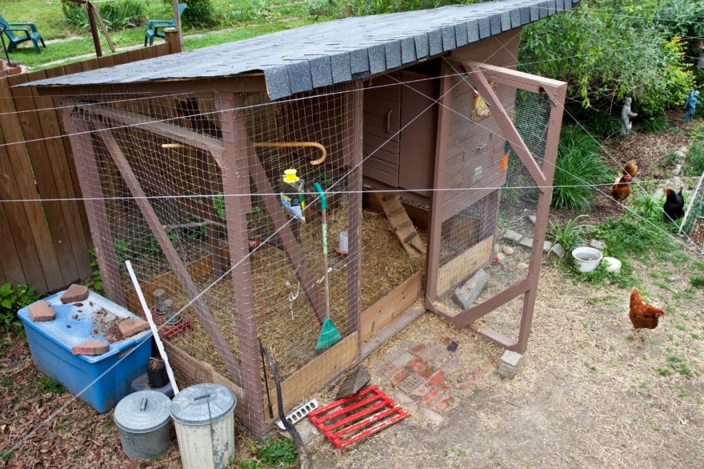 a clean chicken coop