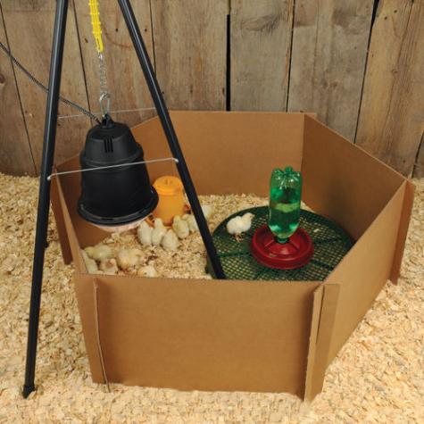 a hexagon chicken brooder made from cardboard