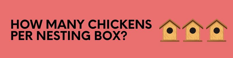 Chicken nesting box
